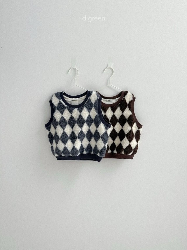 digreen25wn_Argyle Vest