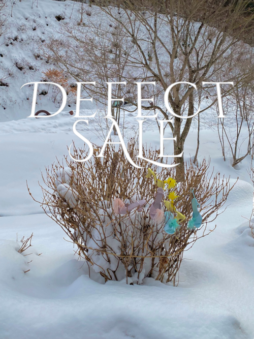 DEFECT SALE(シューズクリップのみ)