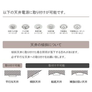 CAROL AMBER 5　キャロル アンバー 5　シーリングライト