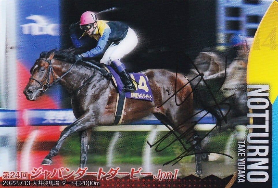 金箔サイン入)ディープインパクト：第72回 東京優駿「サラブレッド