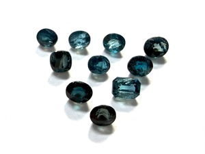 サファリンサービス企画［No.K-58］