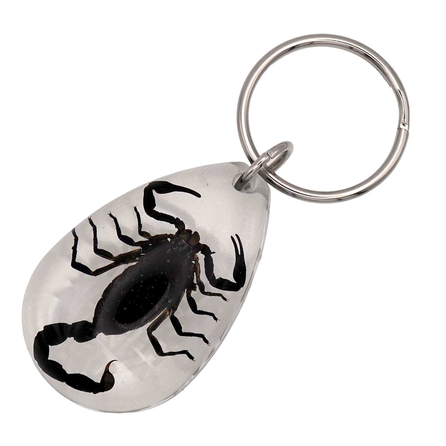 USA ARIZONA SCORPION DROP KEYCHAIN 蠍 サソリ スコーピオン お守り