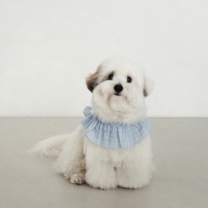 【即納｜一部予約】[ OHDIBS ] CAPENESS｜NO.17 _Babyblue check