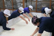 誠鏡 漬物用酒粕　4kｇ