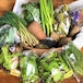 信州産 自然栽培『野菜セットLL』120サイズ（農薬、肥料不使用）
