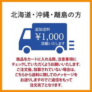 無添加 梅シロップ