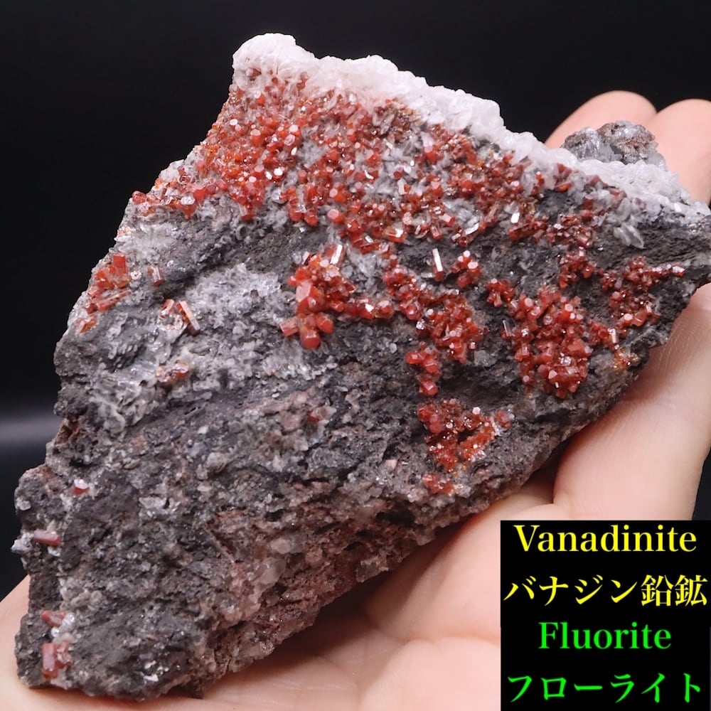 バナジン鉛鉱 | 鉱物 天然石 American Minerals + Gemmy You