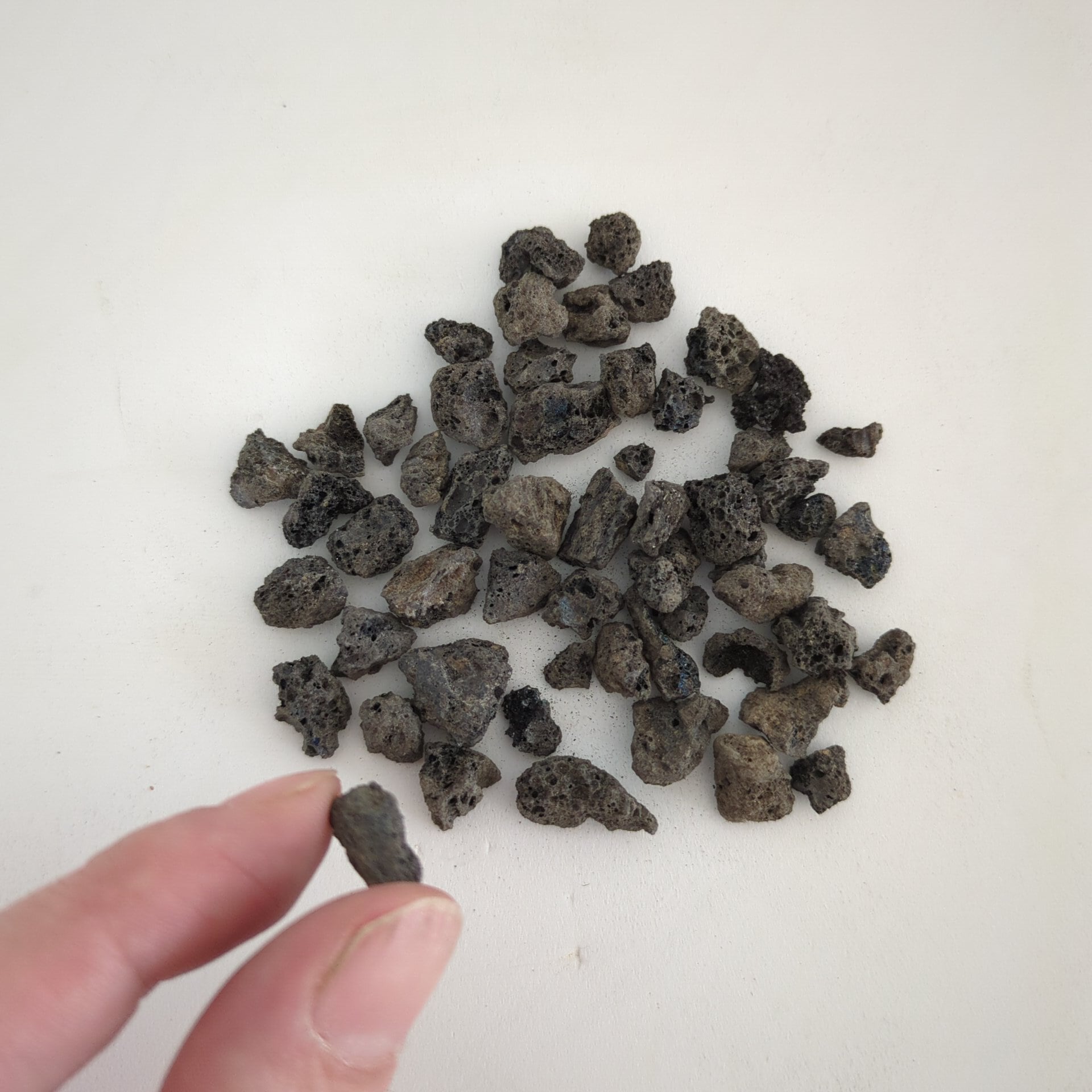 【規格外品】溶岩石 極SS 50g入り【レイアウト用・着生用】