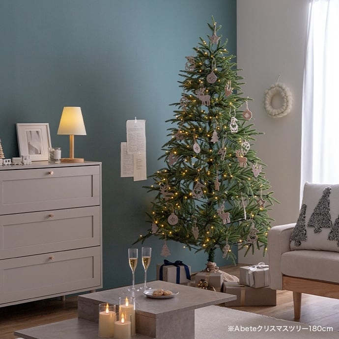 【14点セット】フェルトオーナメントセット