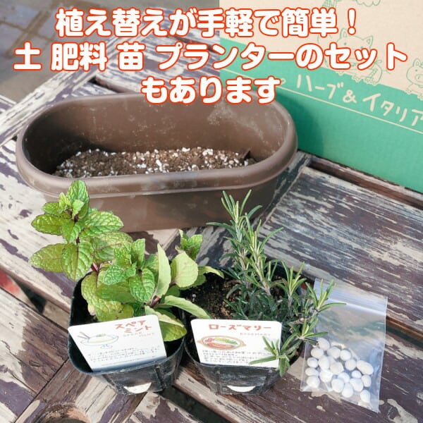 趣味の園芸、プランター、鉢、苗鉢、まとめてセット 園芸用品 趣味の園芸、プランター、鉢、苗鉢、まとめてセット