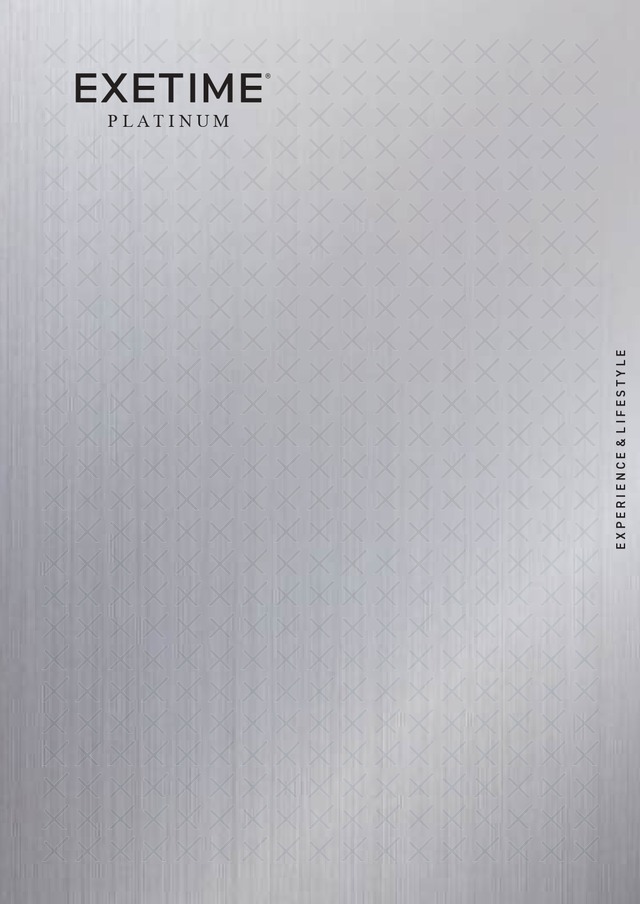 エグゼタイム プラチナム（★20個） 212000円コース（2年期限版）