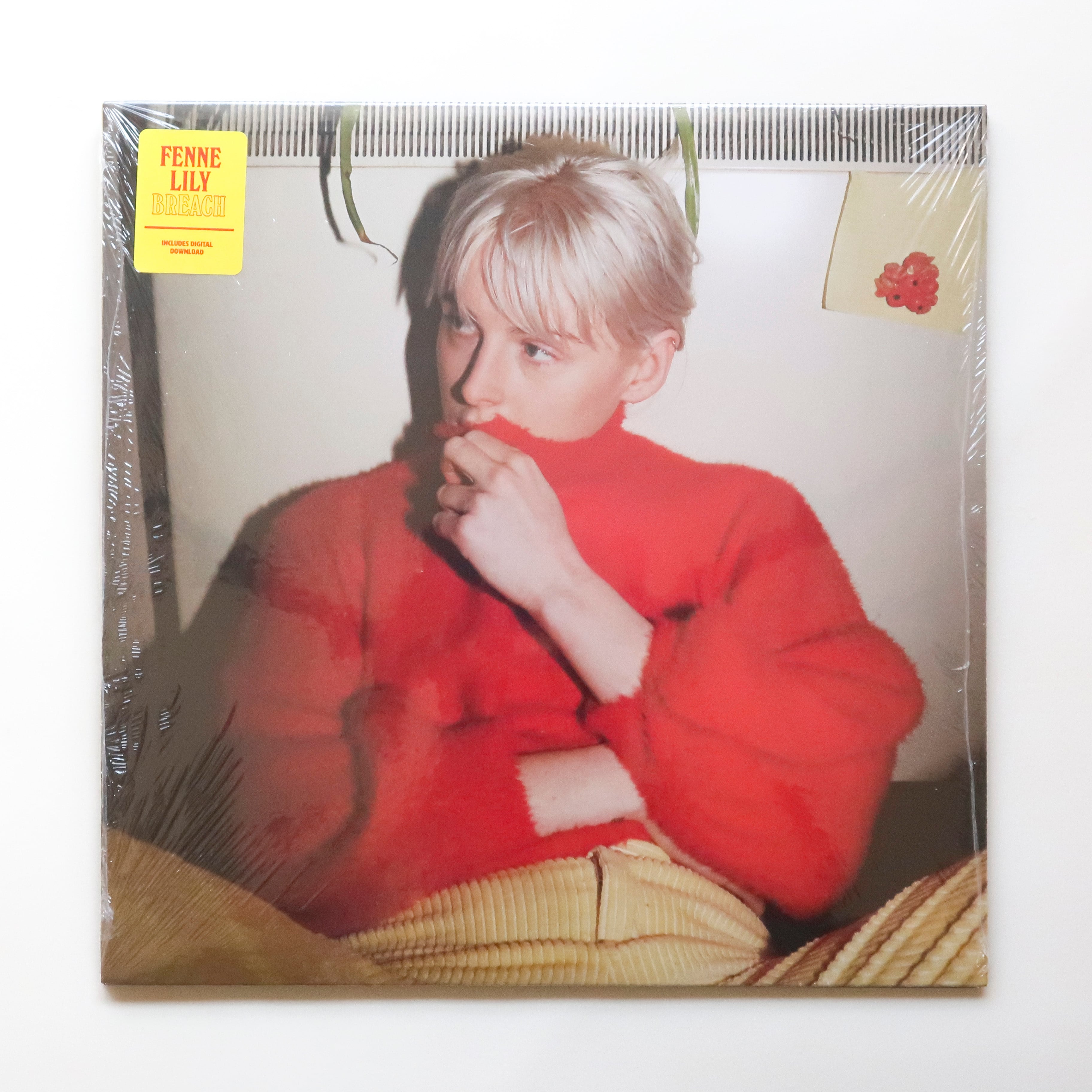 LP（レコード） | 本と音楽の店 つぐみ