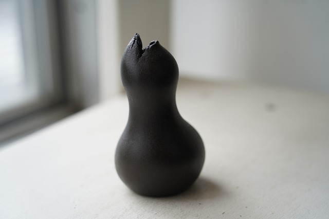 55 炭化黒ヒナ中　山下寛兼　1