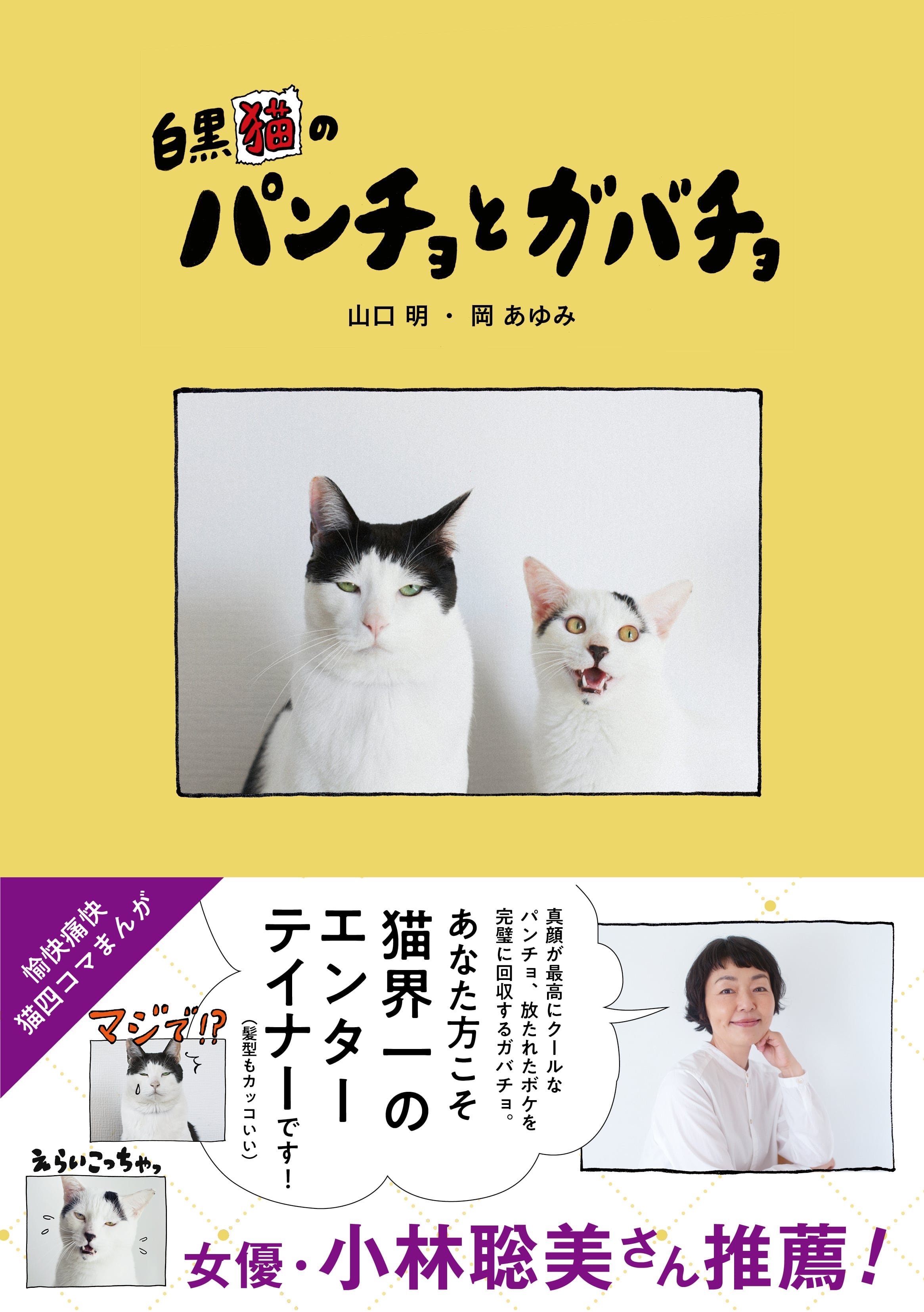 hayaoki books