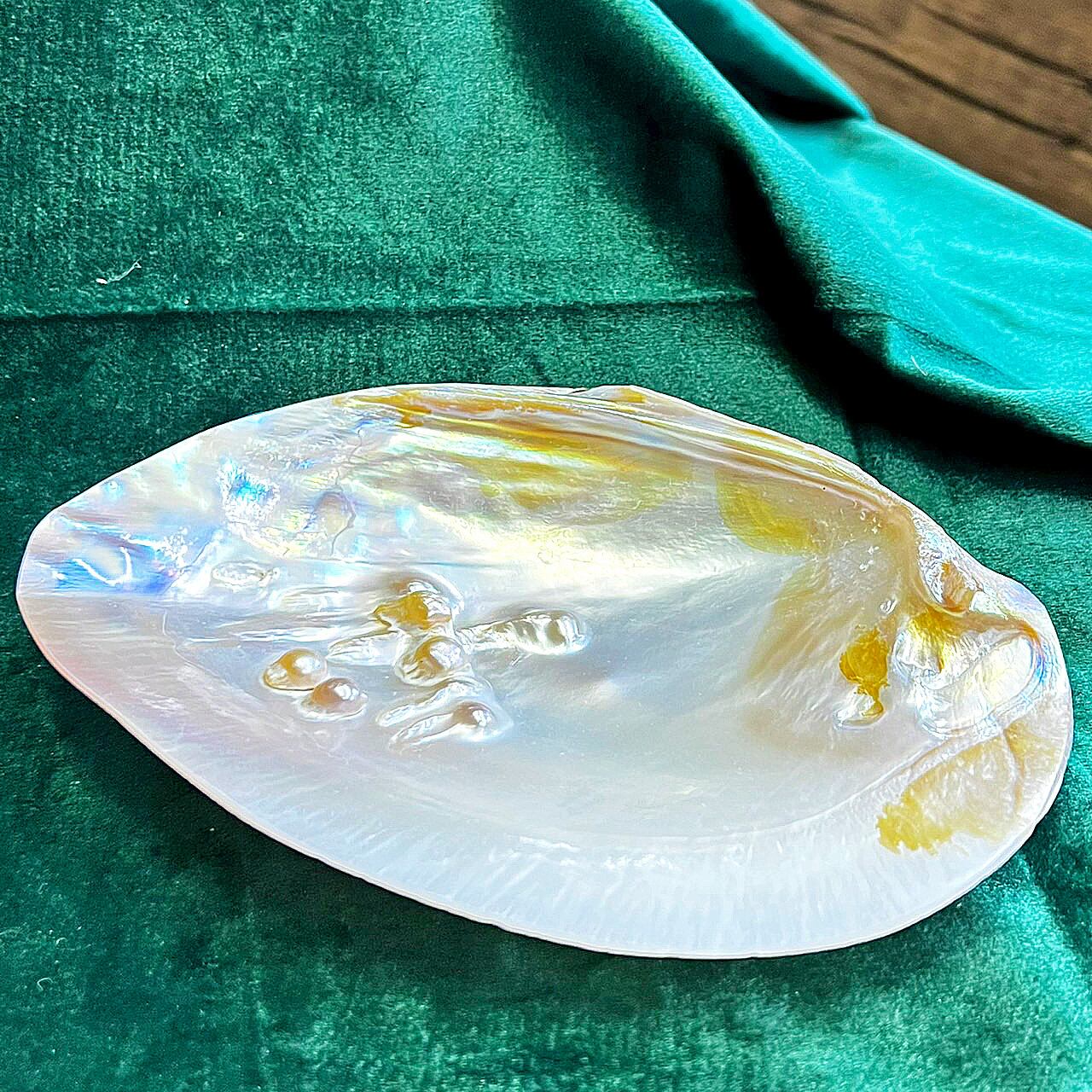 a5c9db6d5831414e28010f42d42d59