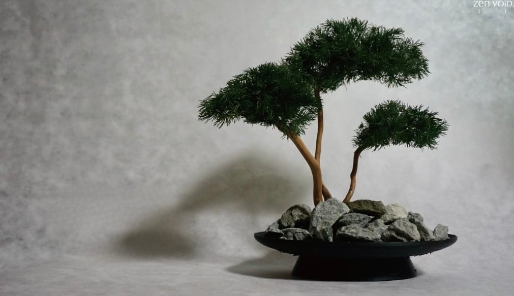 Zen Stone Bonsai / 石と盆栽 | zenvoid