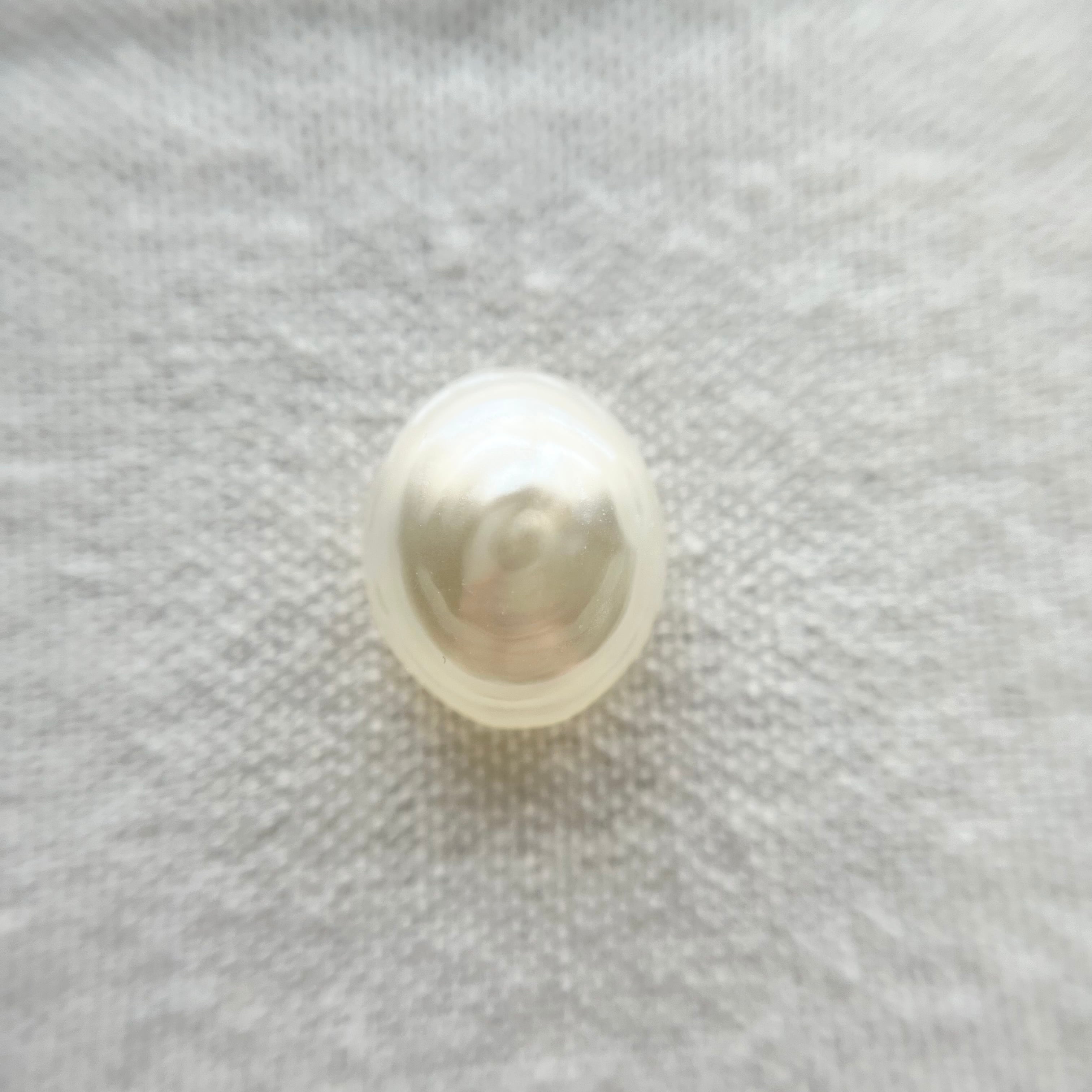 オーバル パールホワイト 16㎜