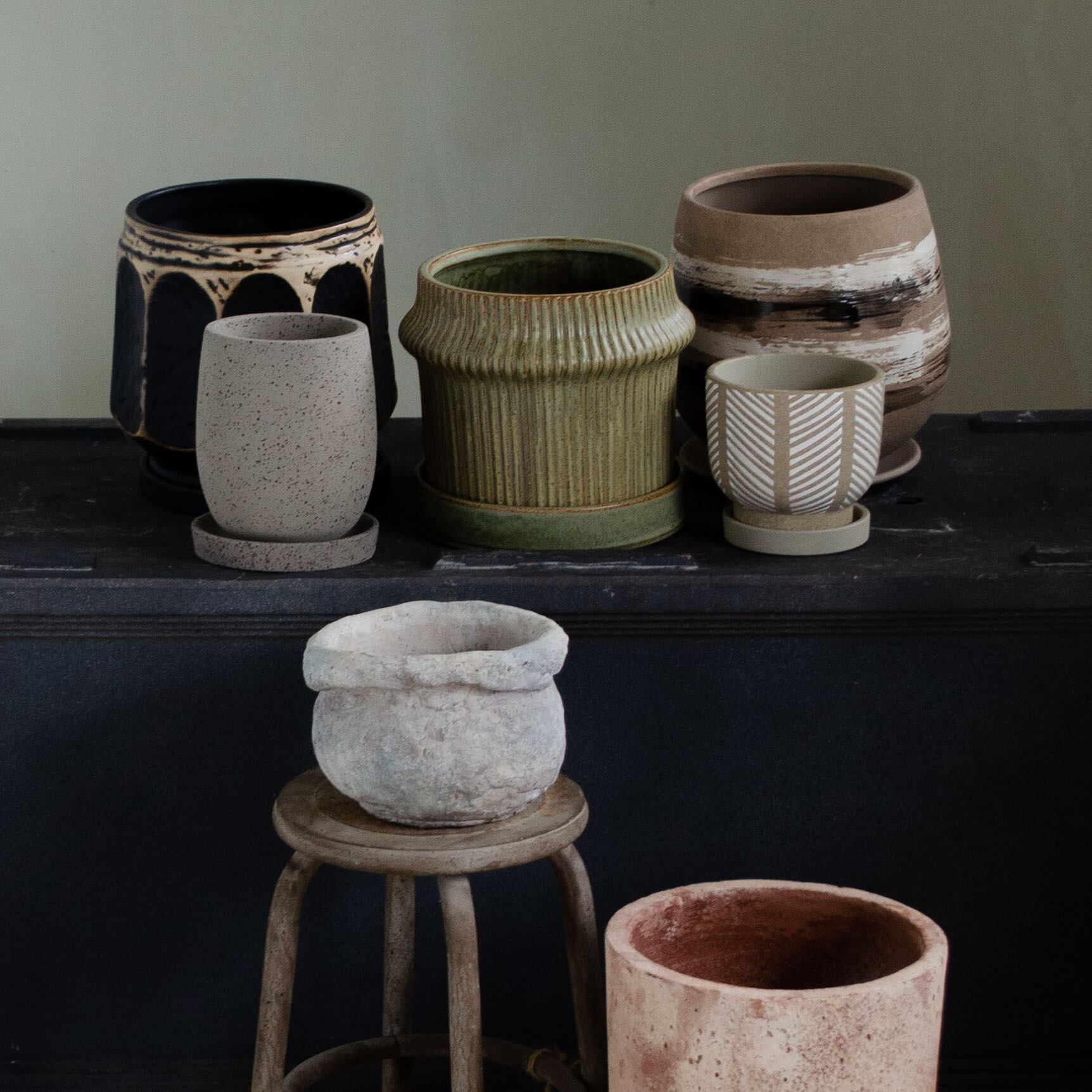 観葉植物 デザイン鉢付き | 花繁(Azure株式会社)