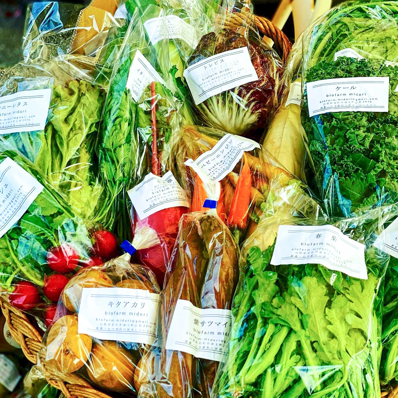 有機野菜! ◇全12回定期便◇【つくだ農園】《有機JAS認証 有機野菜10品入り》京都