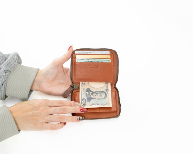 ZIP AROUND MINI WALLET【CM304】