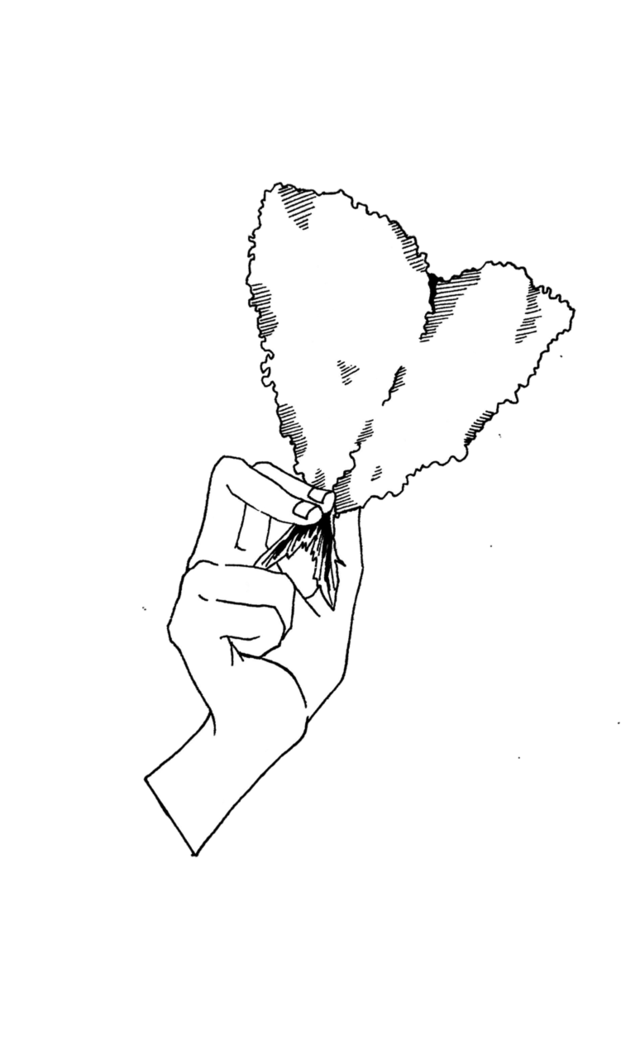 オリジナルTシャツ【002】