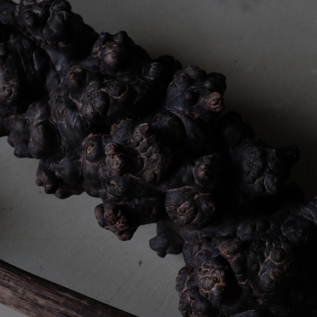 Burl object