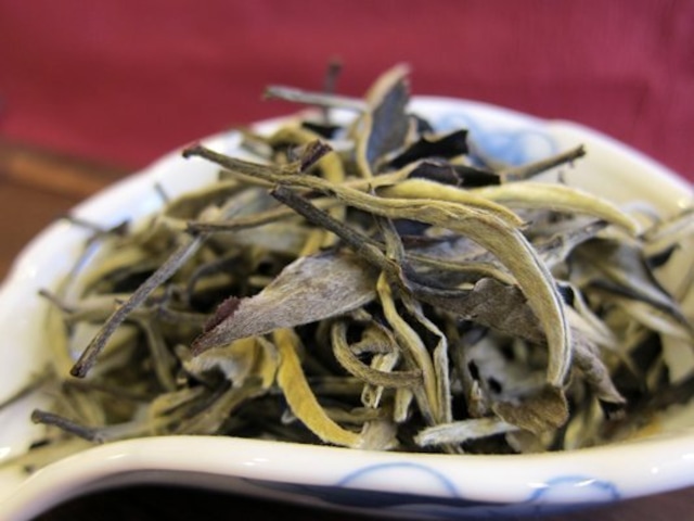 【月光白（普洱生茶）】：古木の春茶を１芽・２葉の茶葉のみ、月の下で自然と発酵して、月光の美人と呼ばれる花の香りの普洱（プーアール）茶。