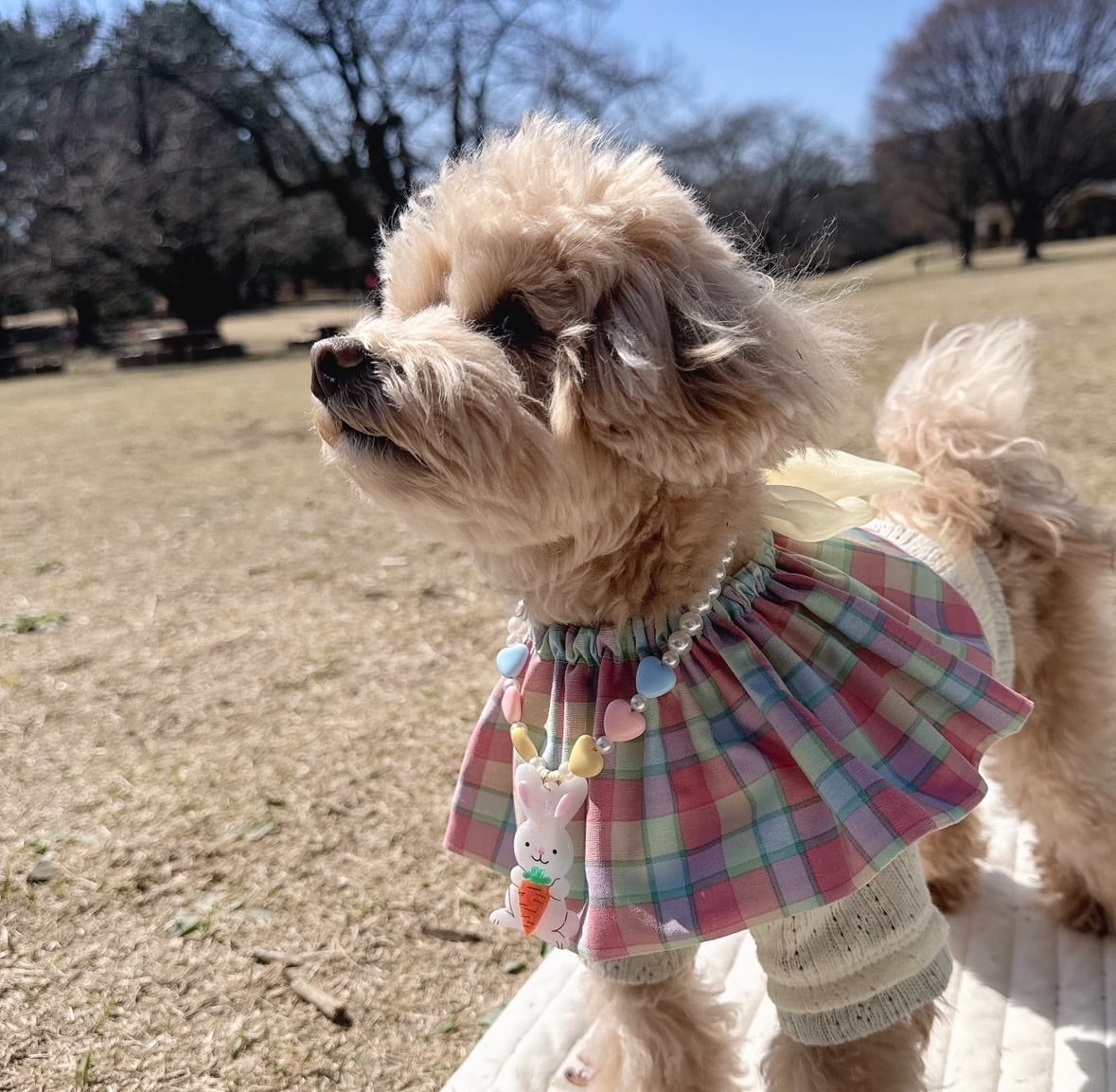 パステルイースターセット