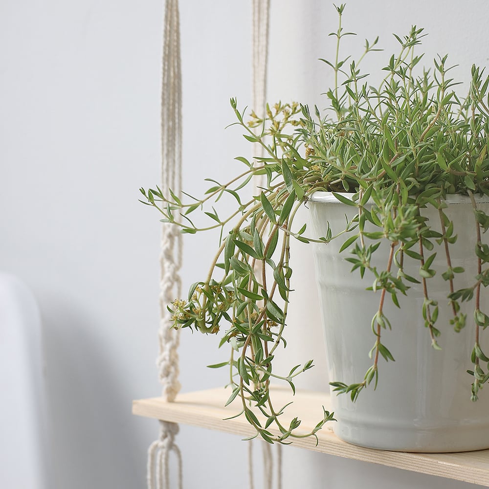 専用♡　２段ウォールシェルフ　ハンドメイド マクラメ＊ハンギング2段ウォールシェルフ | MeROOM