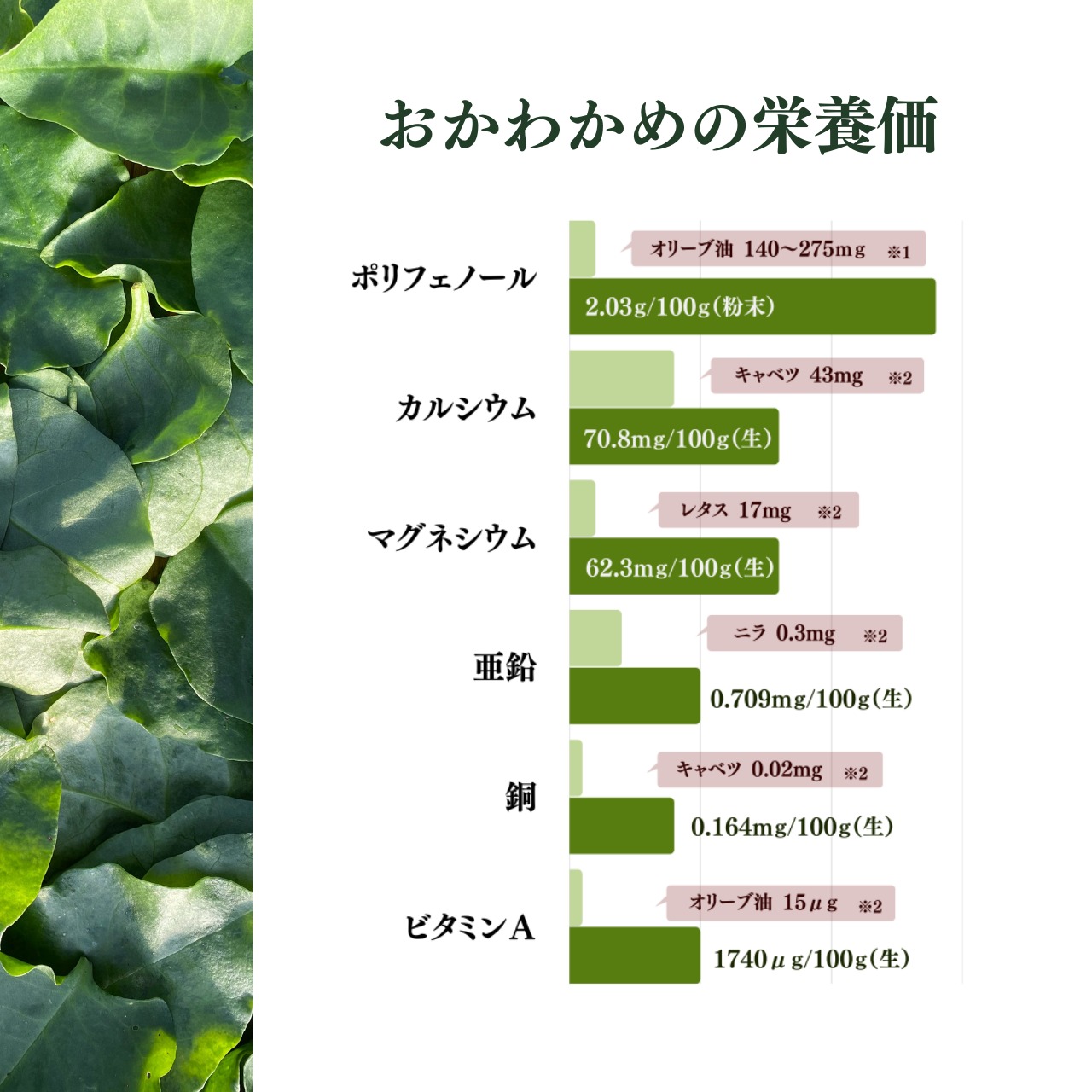 【定期便】百養男児プラス