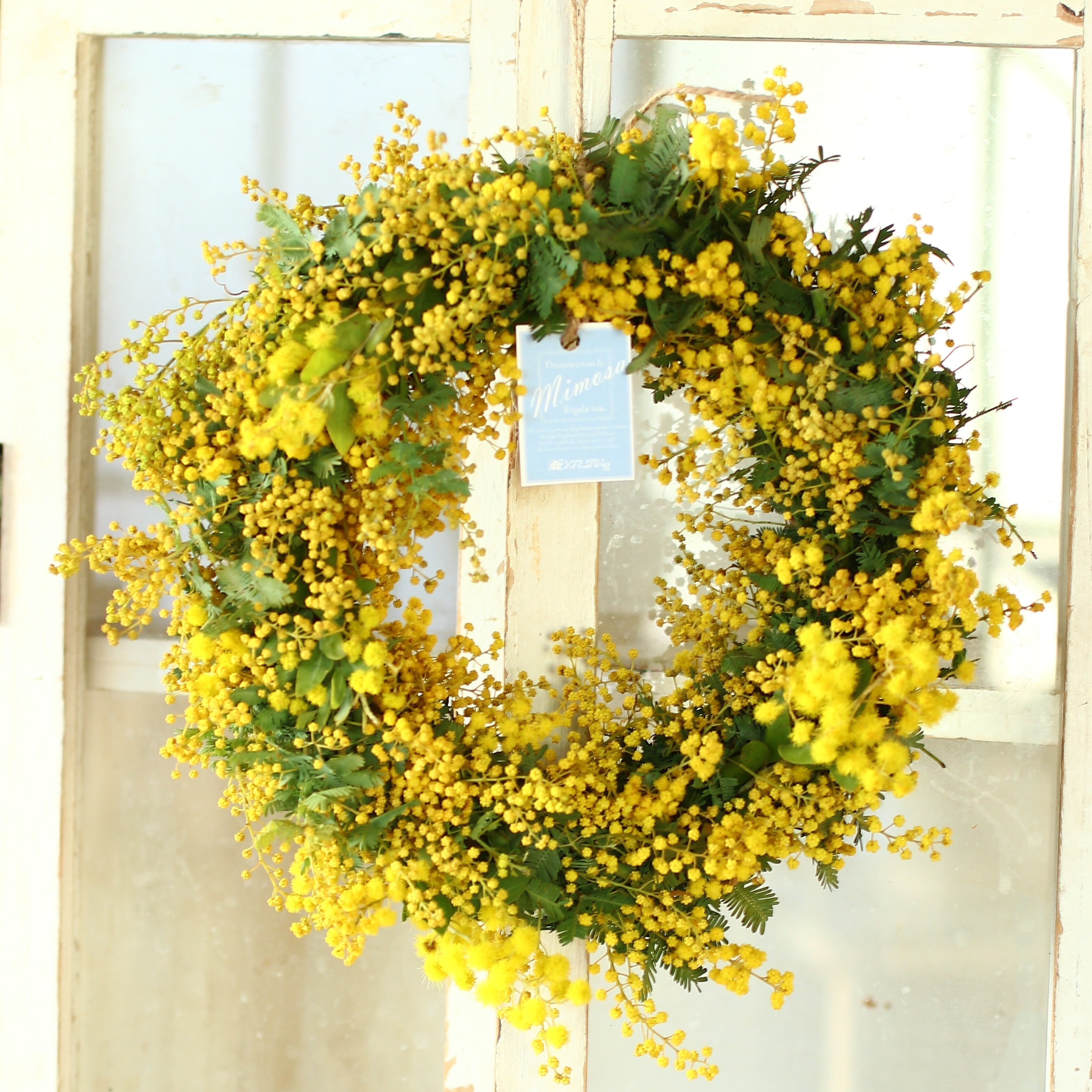 ミモザを飾ろう！贈ろう！」 | flowershop KALIANg