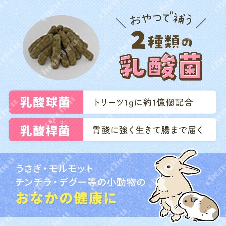 ⭐人気商品セット❣️⭐ うさぎのきわみ850g＆トリーツ毛玉ケア&トリーツ乳酸菌