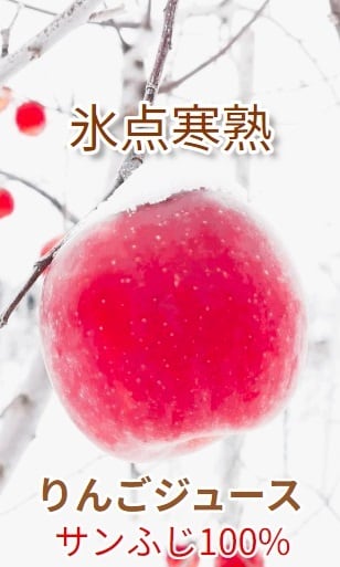 氷点寒熟りんご】ジュース(1L)2本セット | 合同会社トキあっぷる社