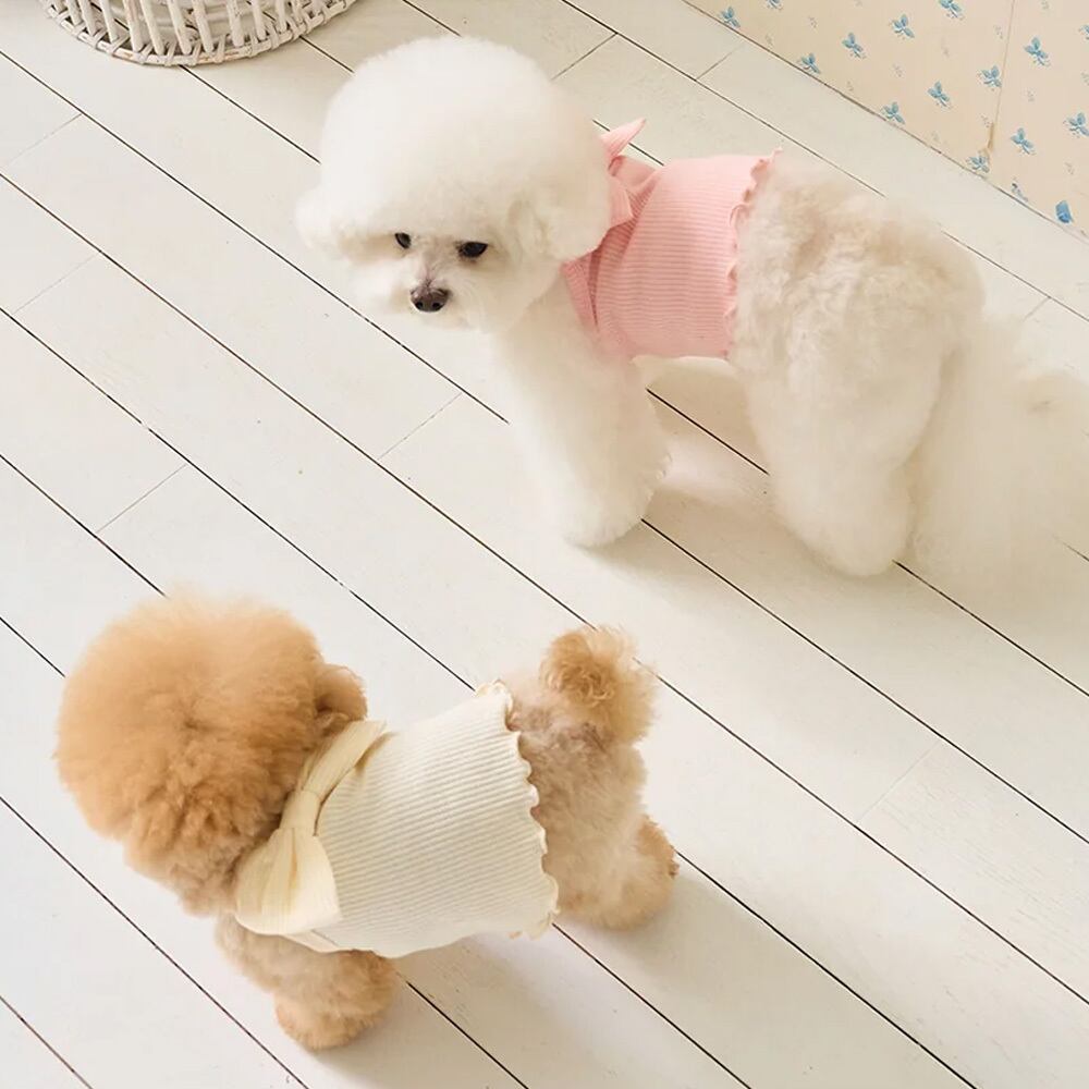 BENNYS リボニークロップトップ リボン ドッグウェア ペットウェア 犬