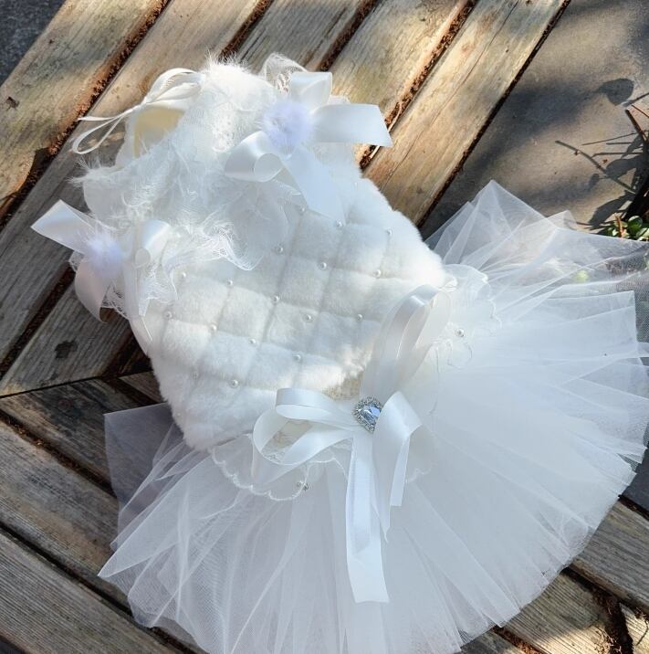 〖予約〗№3102281 ホワイトドレス