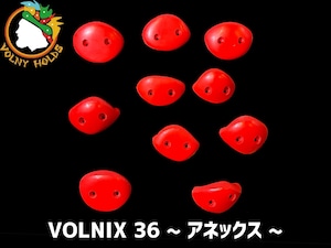 VOLNIX36 ~アネックス~