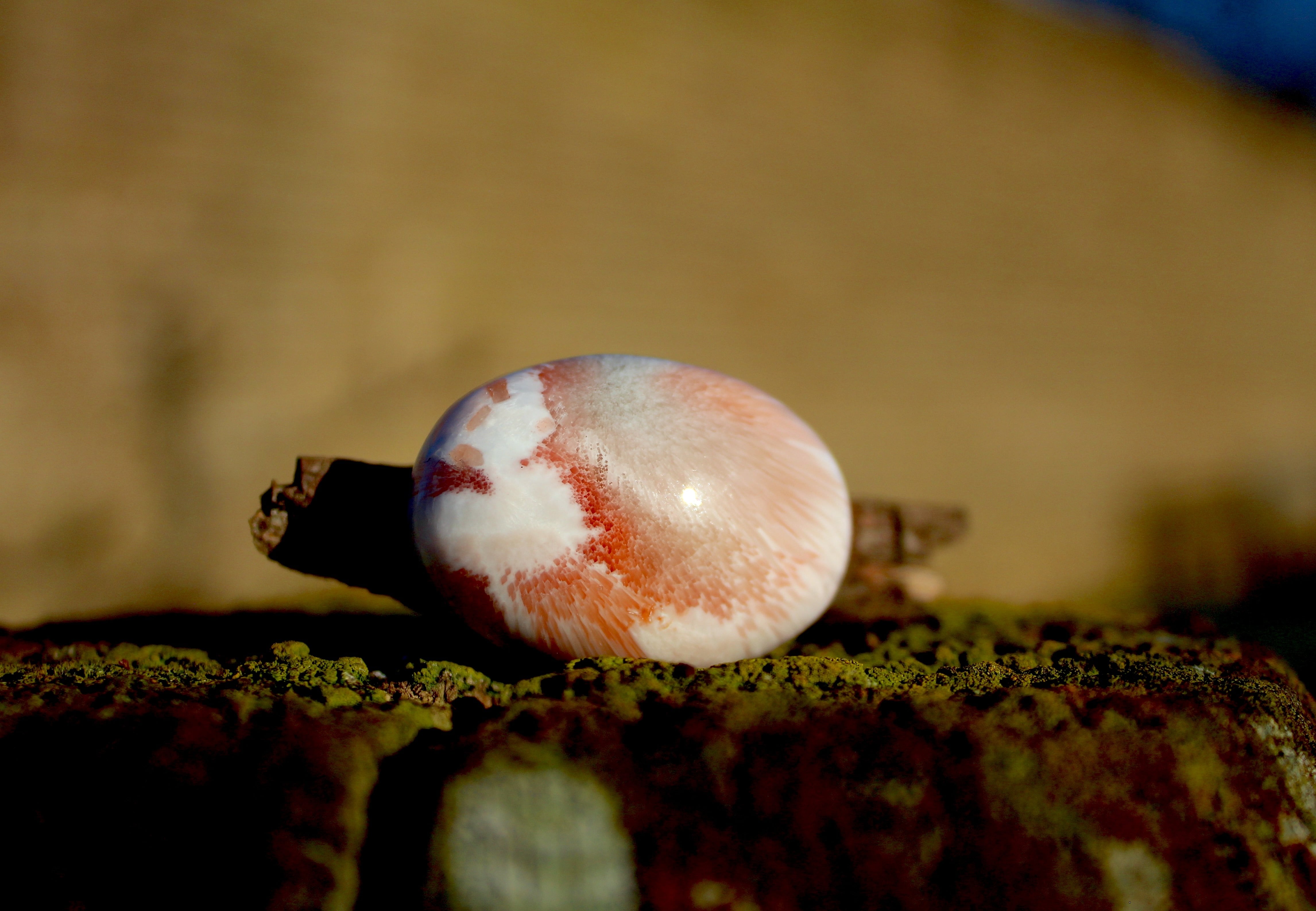 ピーチスコレサイト パームストーン | T-Stones 英国