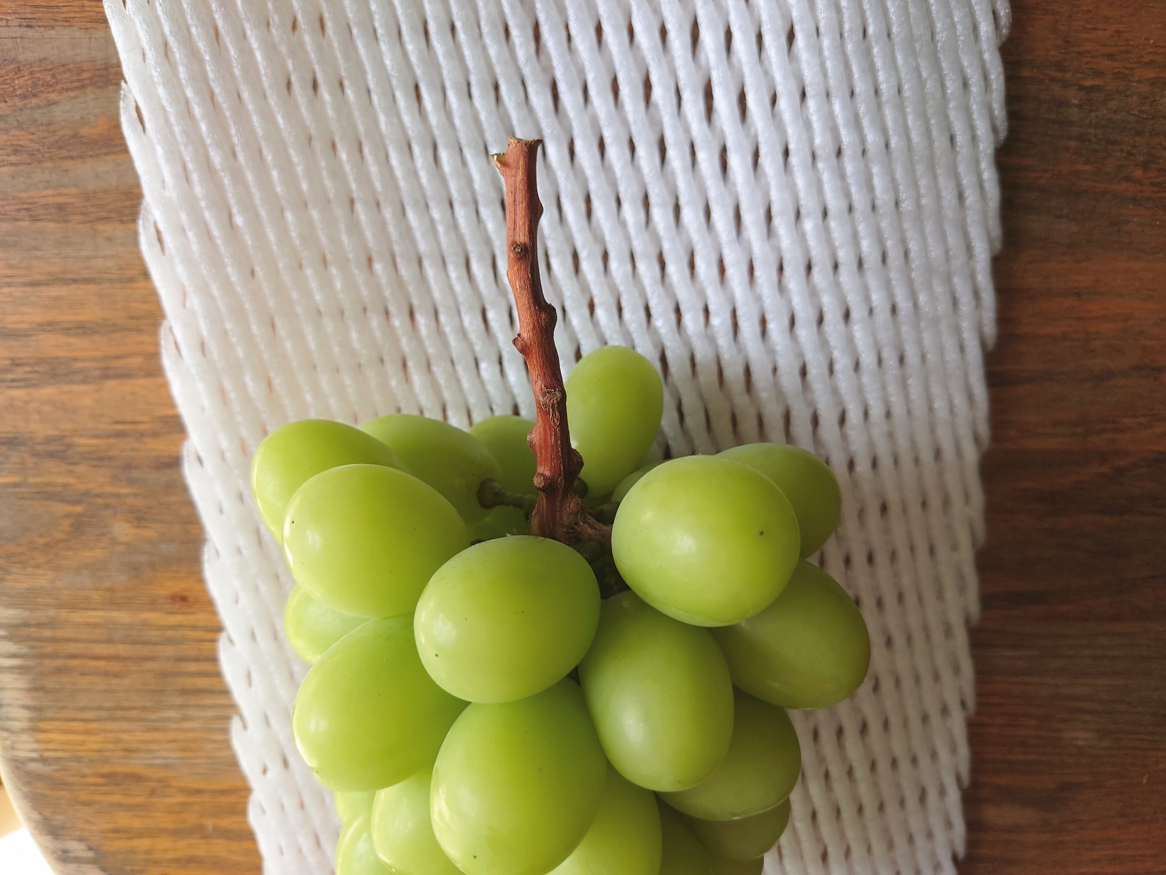 9月上旬から発送]そこそこ規格 シャインマスカット(内容量 3〜4房、約