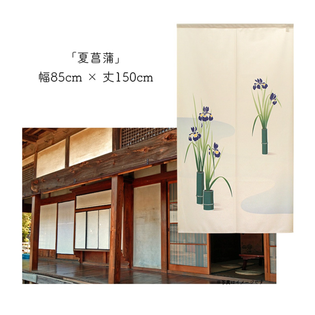 【受注生産】 のれん  夏菖蒲  幅85ｘ丈150cm 95141