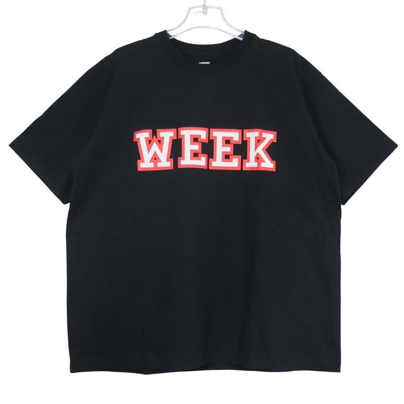 STUSSY BIG MEATY PUZZLE ステューシー ビッグ ミーティ パズル グッズ