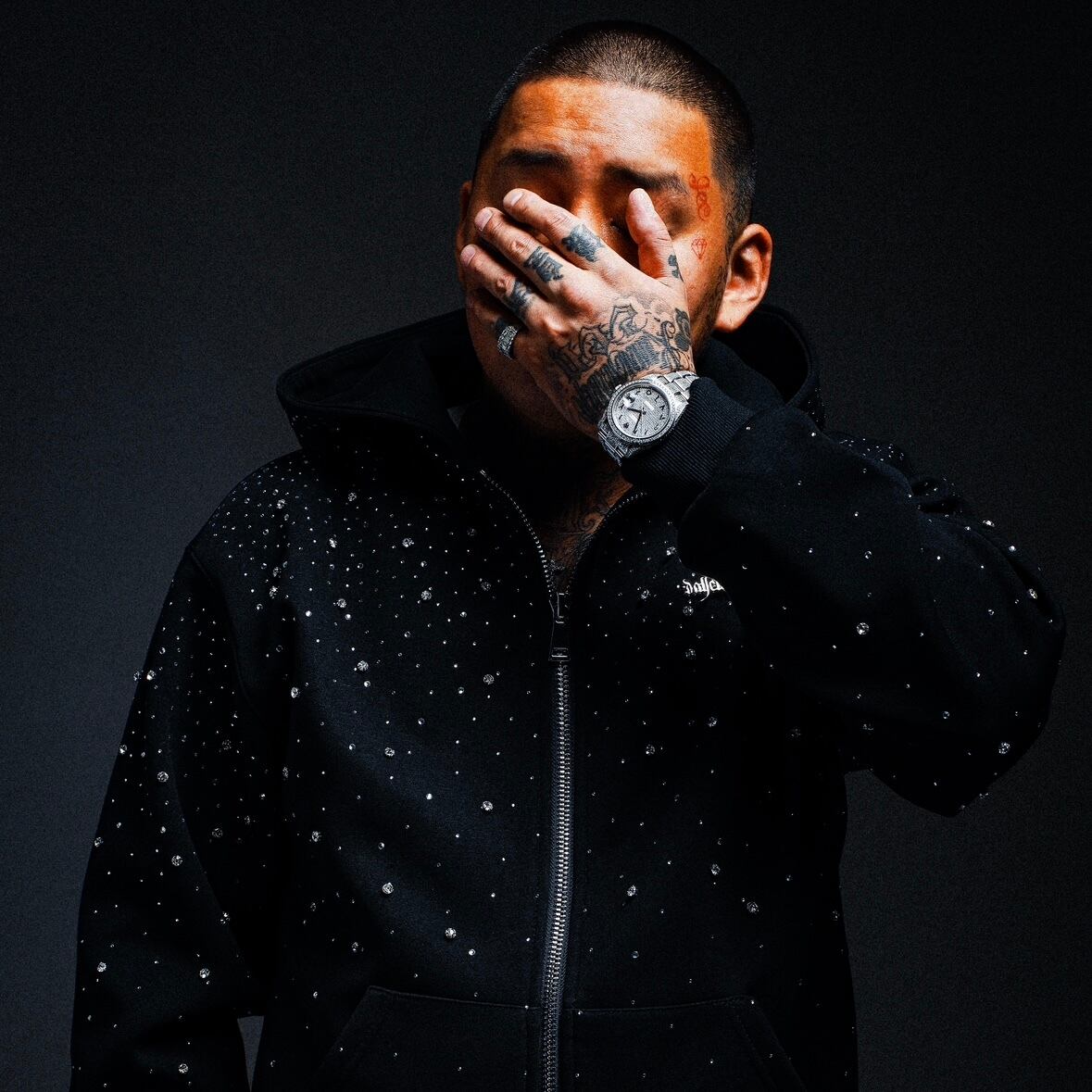 ESSENTIAL PLATE LUXURY RHINESTONE ZIP HOODIE | DALL