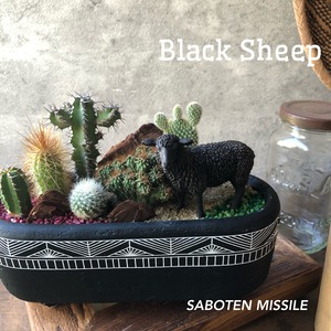 Black Sheep