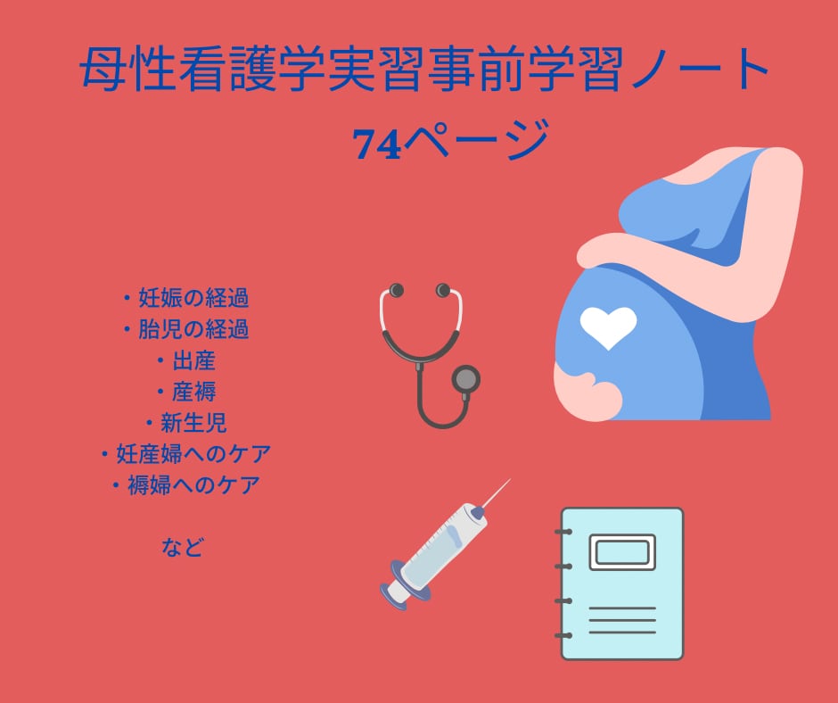 ノンノン様　助産実習　母性看護学実習　大容量データ 助産実習 母性看護学実習 大容量データ｜Yahoo!フリマ（旧PayPay