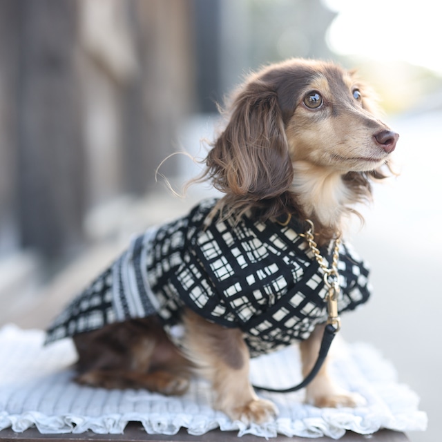 【受注2026】浴衣 "格子×角帯"（リップル）ブラック/アクア