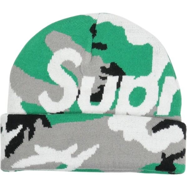新品 Supreme 25FW True Religion Beanie カモ Size【フリー】 SUPREME シュプリーム 25FW Big Logo Beanie Green