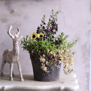 寄せ植え　ペチュニアレイシャドーのクラウンカップ｜届いてすぐ飾れる完成品｜玄関にオススメ｜新築・開店祝いギフト｜モンディマンシェ