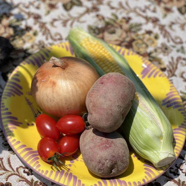 ふぞろいの野菜たち（朝取れ）