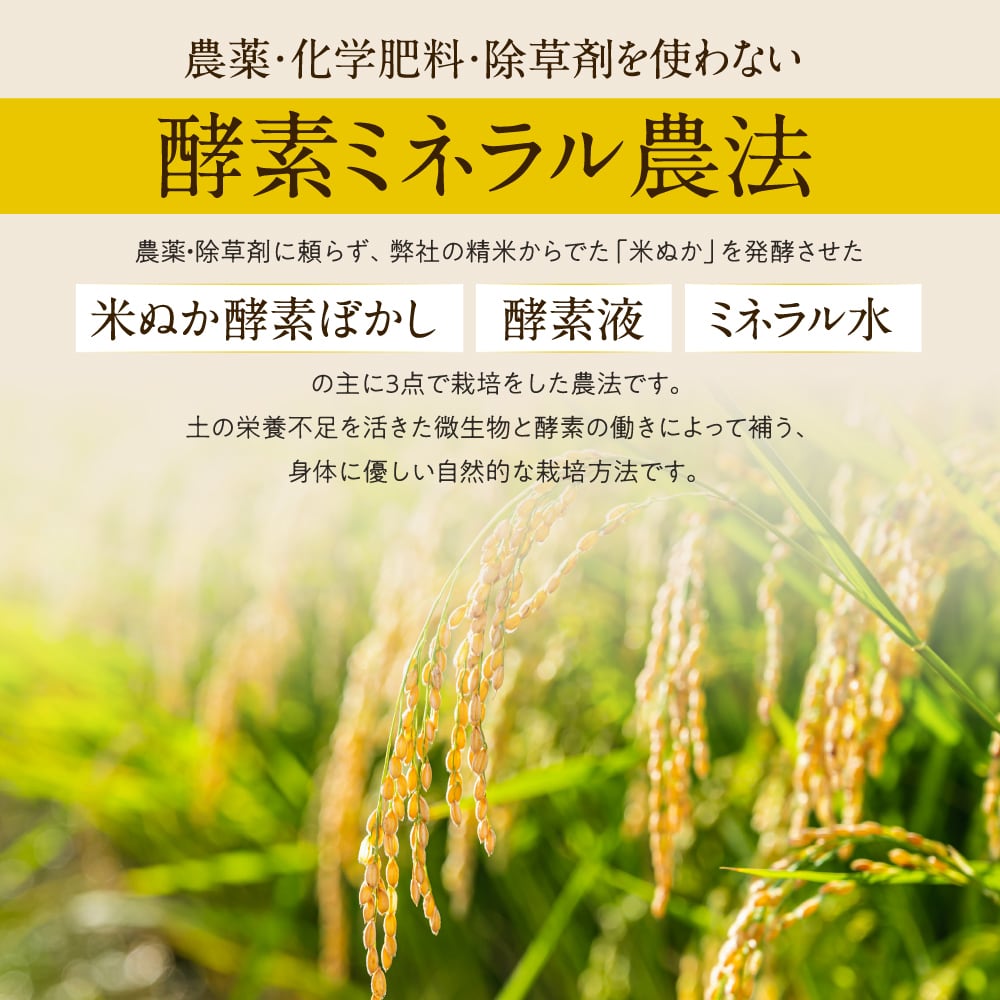 無農薬・無肥料・無除草剤の自然栽培米＆天日干し、完熟・朝日米・白米