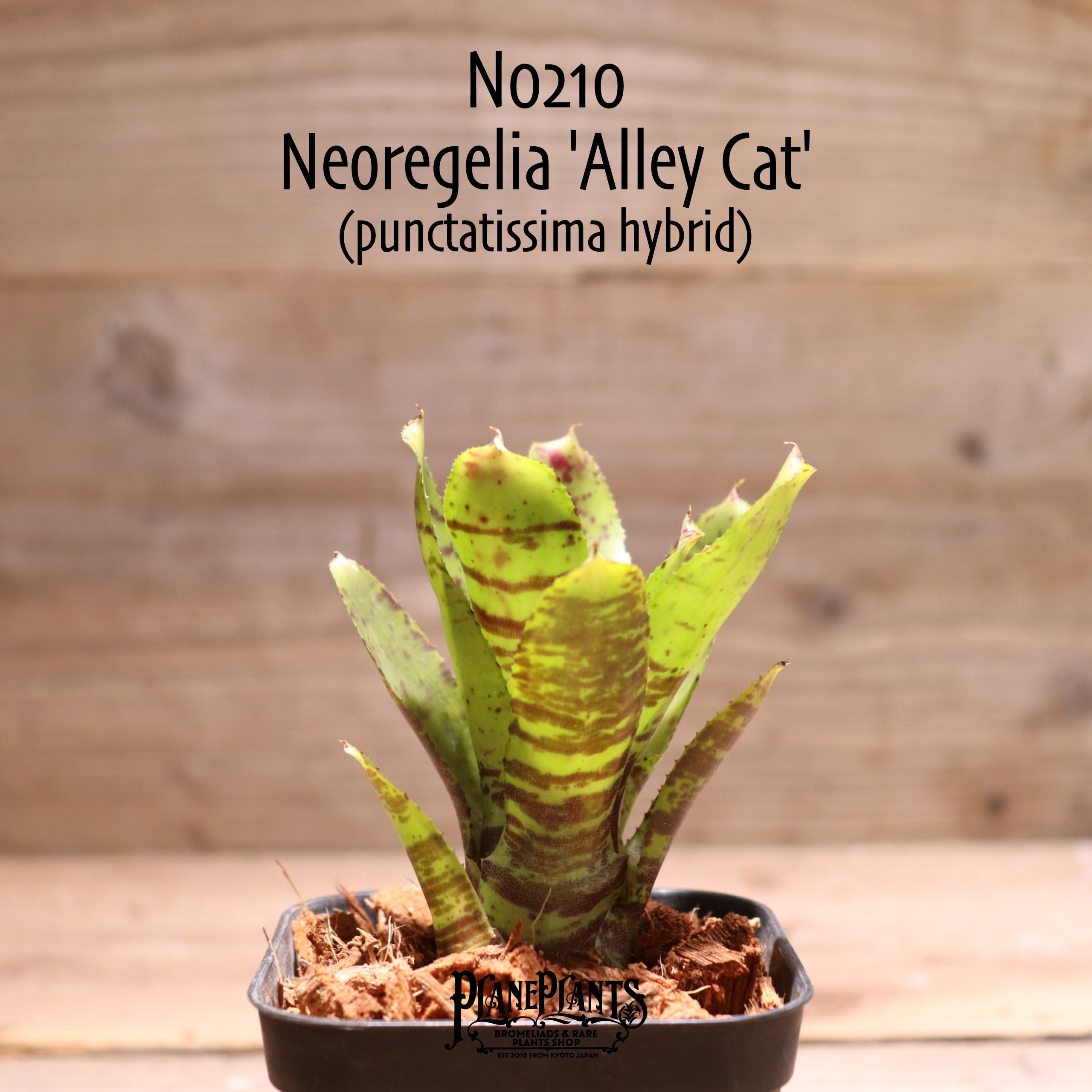 a6011e91a0b39cd6b4438c0958c27b