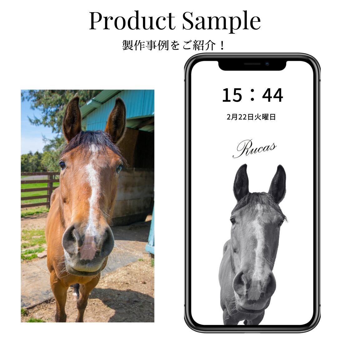 うちの子似顔絵待ち受け オーダーメイド待受 名入れok 即日納品 乗馬用品店レクシア